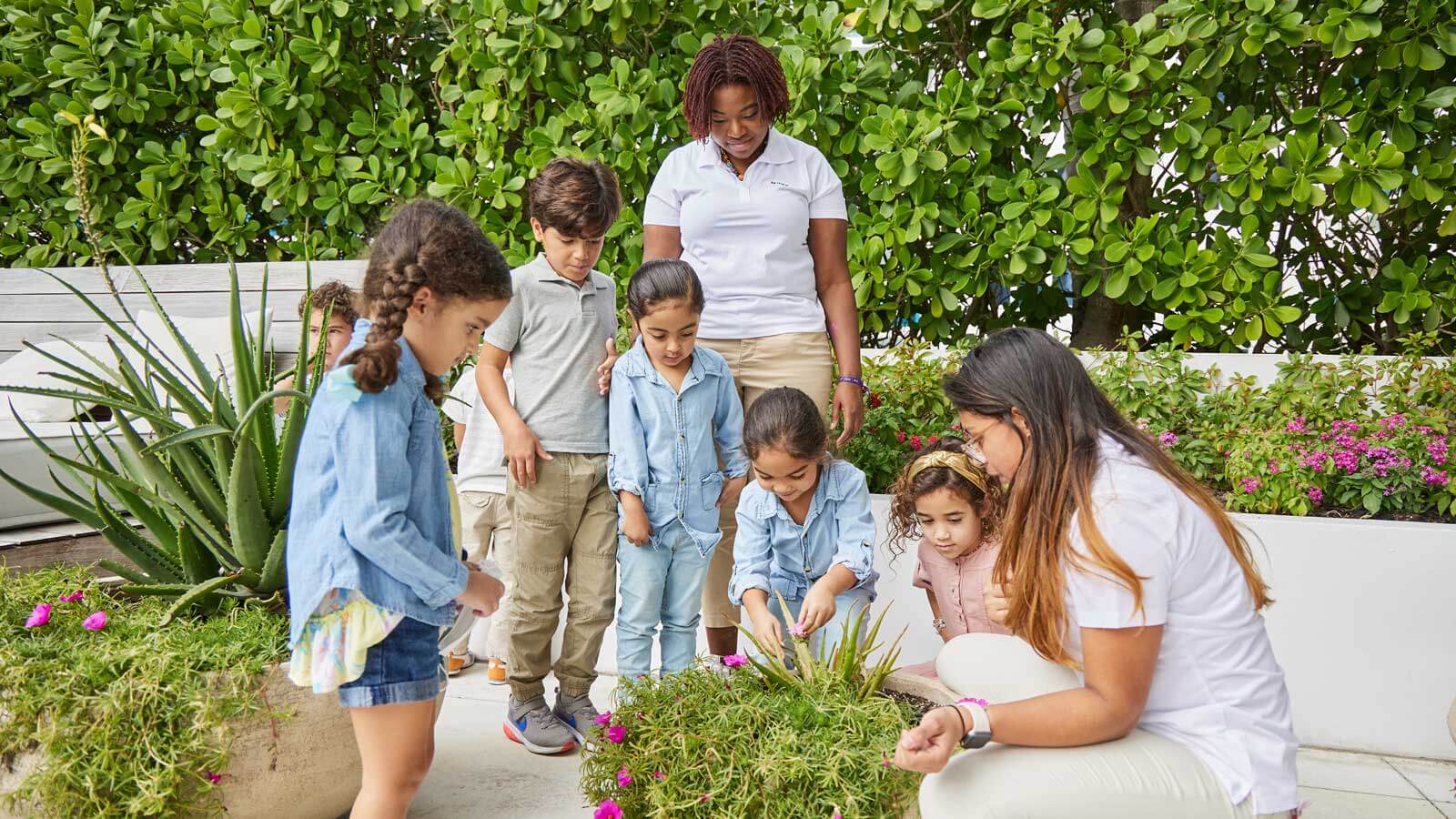 219A5513 Children learning about plants and wildlife